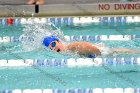 Swimming & Diving vs Babson  Swimming & Diving vs Babson College. - Photo by Keith Nordstrom : Wheaton, Swimming